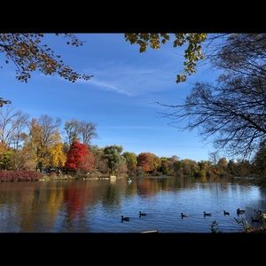 Meet your Posher, Young